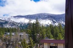 Tahoe Forest Baths photo